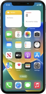 Apple iPhone X