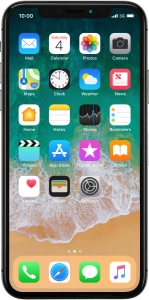 Apple iPhone X