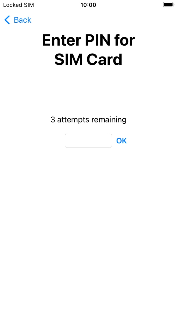Key in your SIM PIN and press OK. The default SIM PIN is 0000.