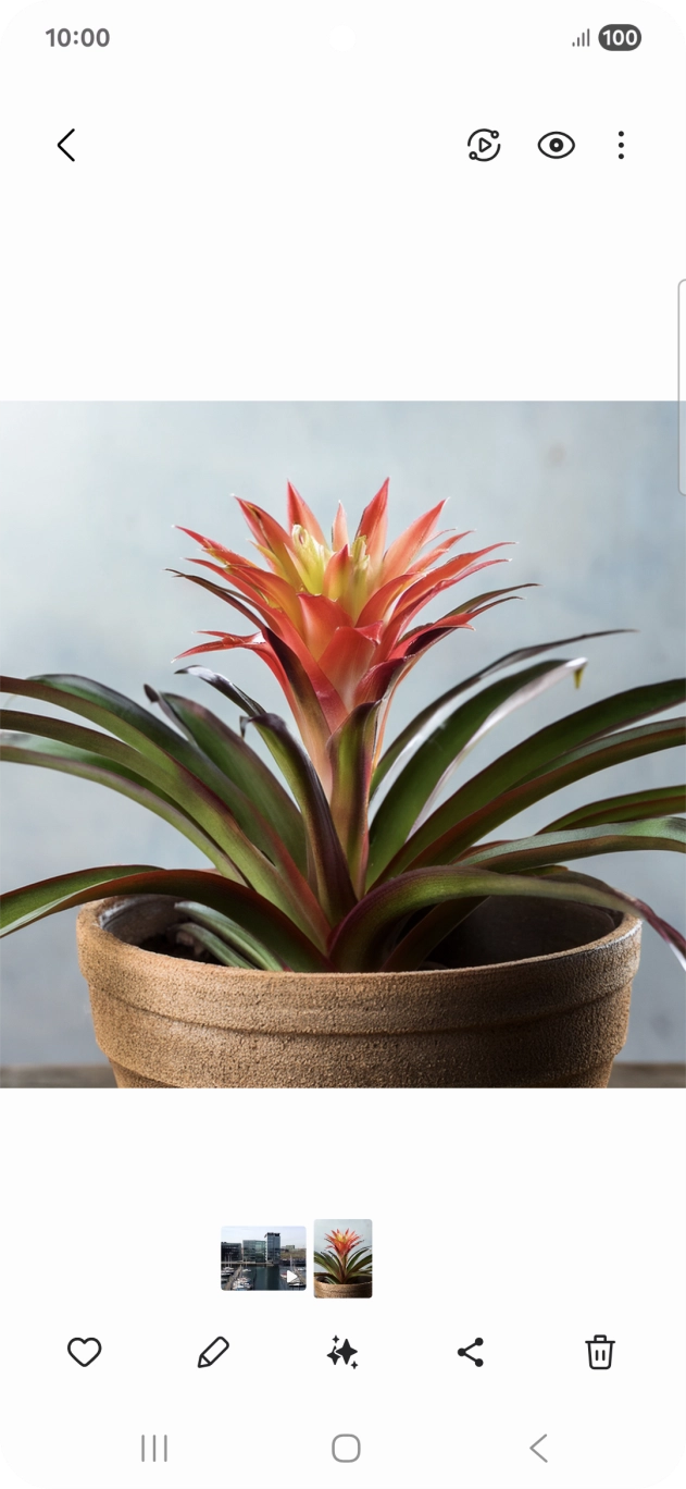 Go to the required picture.