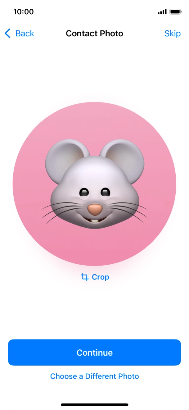 Follow the instructions on the screen to customise the selected picture and press Continue.