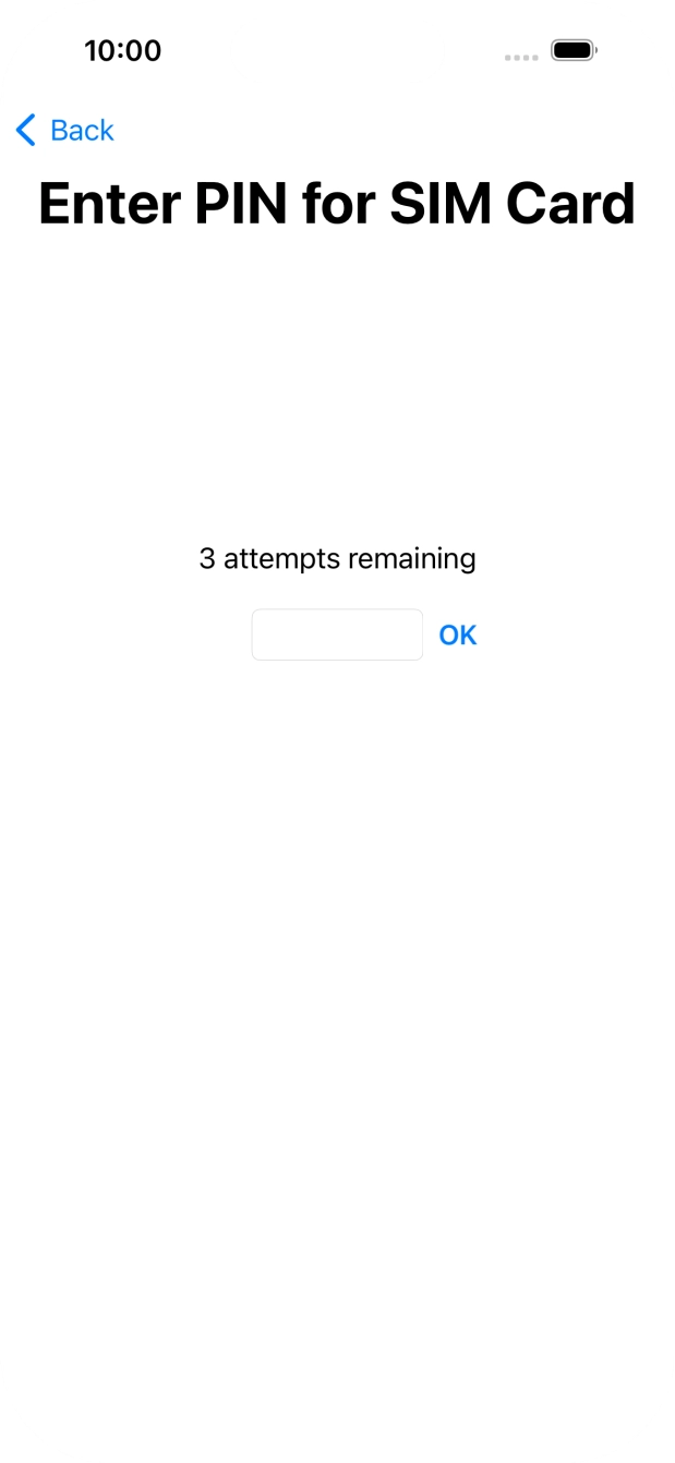 Key in your SIM PIN and press OK. The default SIM PIN is 0000.