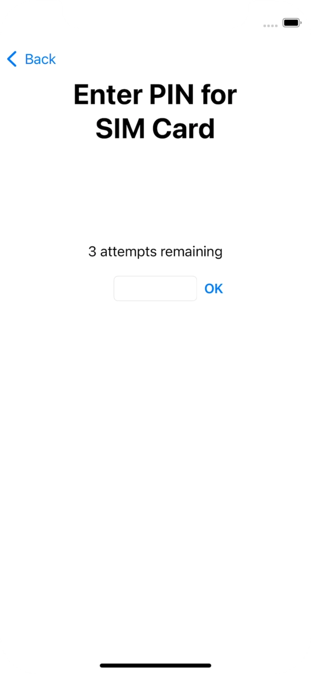 If your SIM is locked, key in your SIM PIN and press OK. The default SIM PIN is 0000.