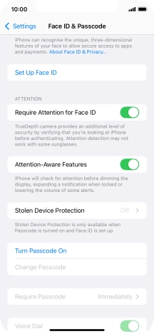 Press Turn Passcode On and key in a lock code of your own choice twice.
