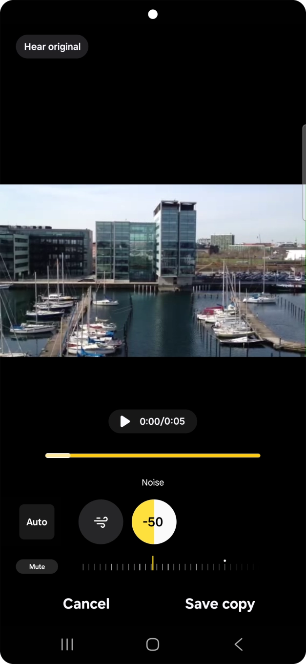 Press Mute to completely remove the selected audio type from the video.