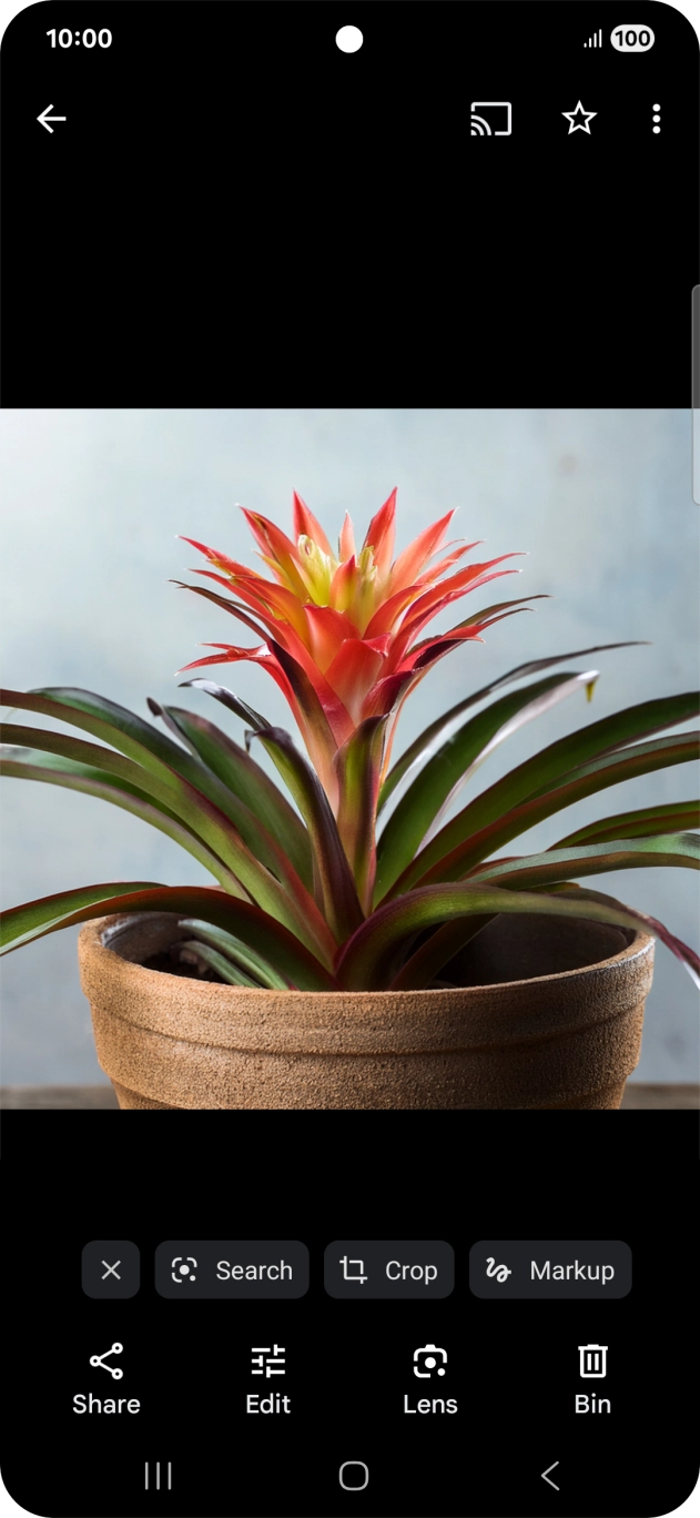 Go to the media content you want to cast from your phone.