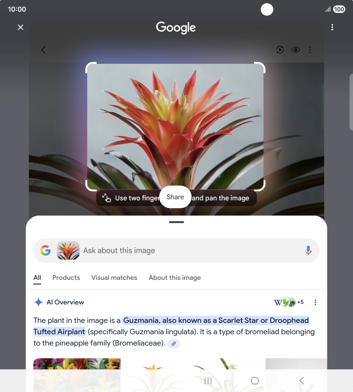 Follow the instructions on the screen to use the search results.