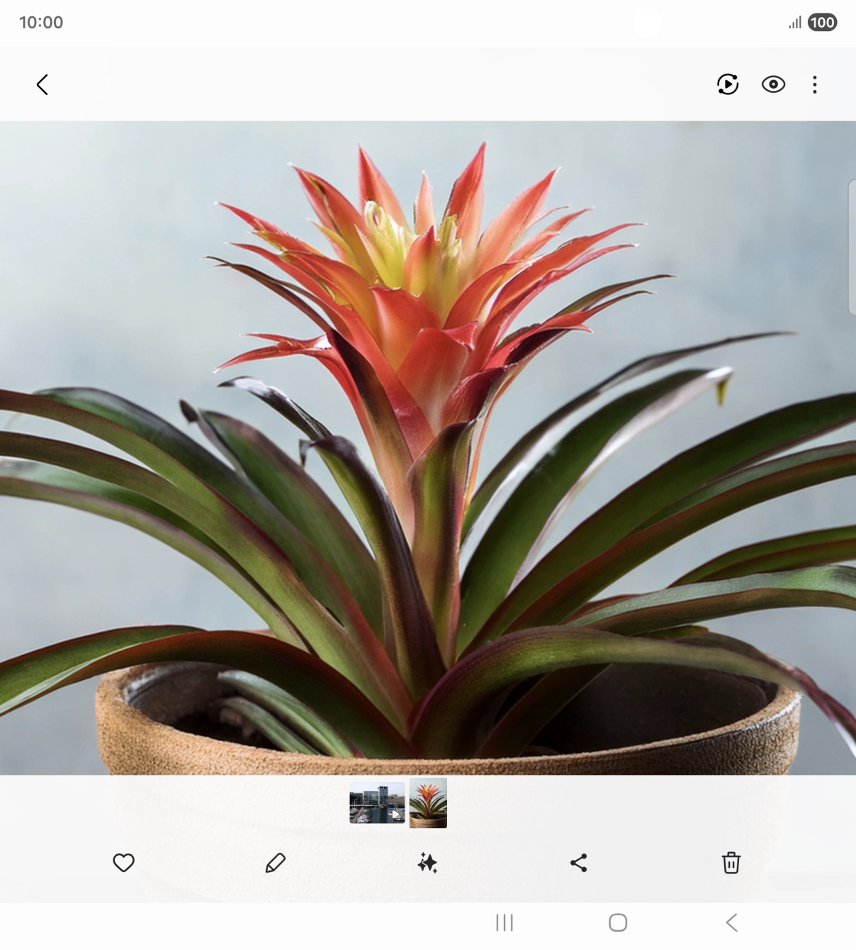 Go to the required picture.