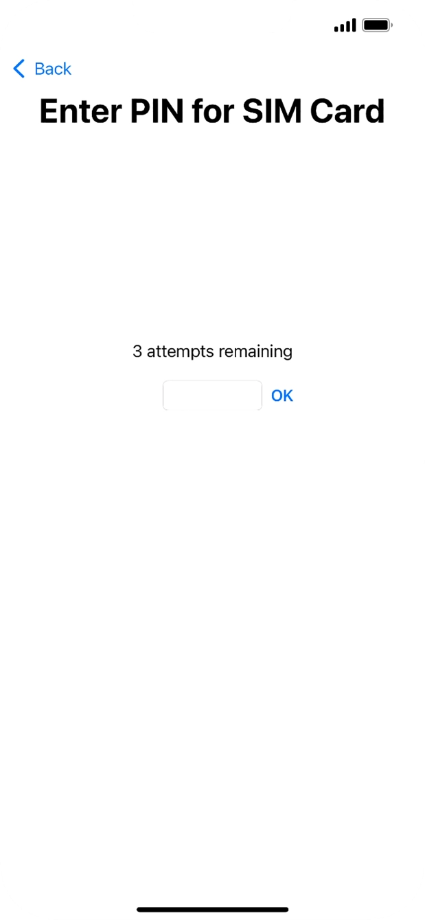 Key in your SIM PIN and press OK. The default SIM PIN is 0000.