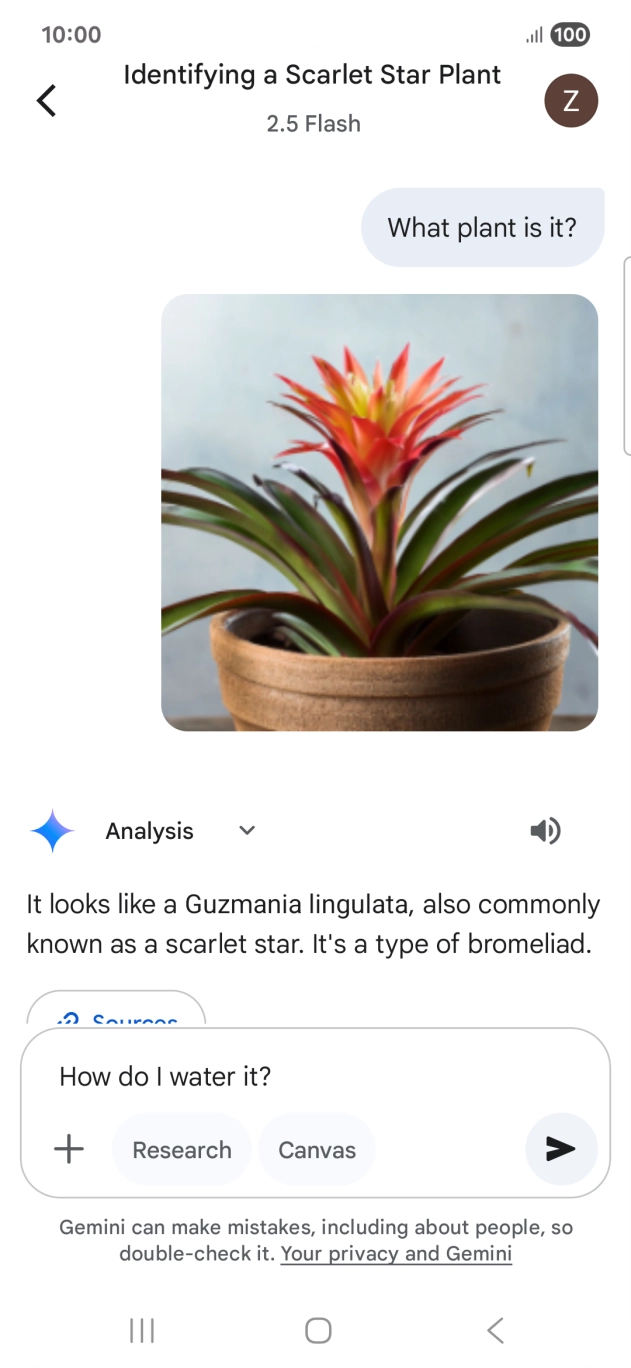 Follow the instructions on the screen to type or speak more questions to continue the conversation.