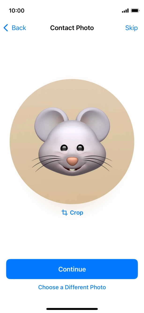 Follow the instructions on the screen to customise the selected picture and press Continue.