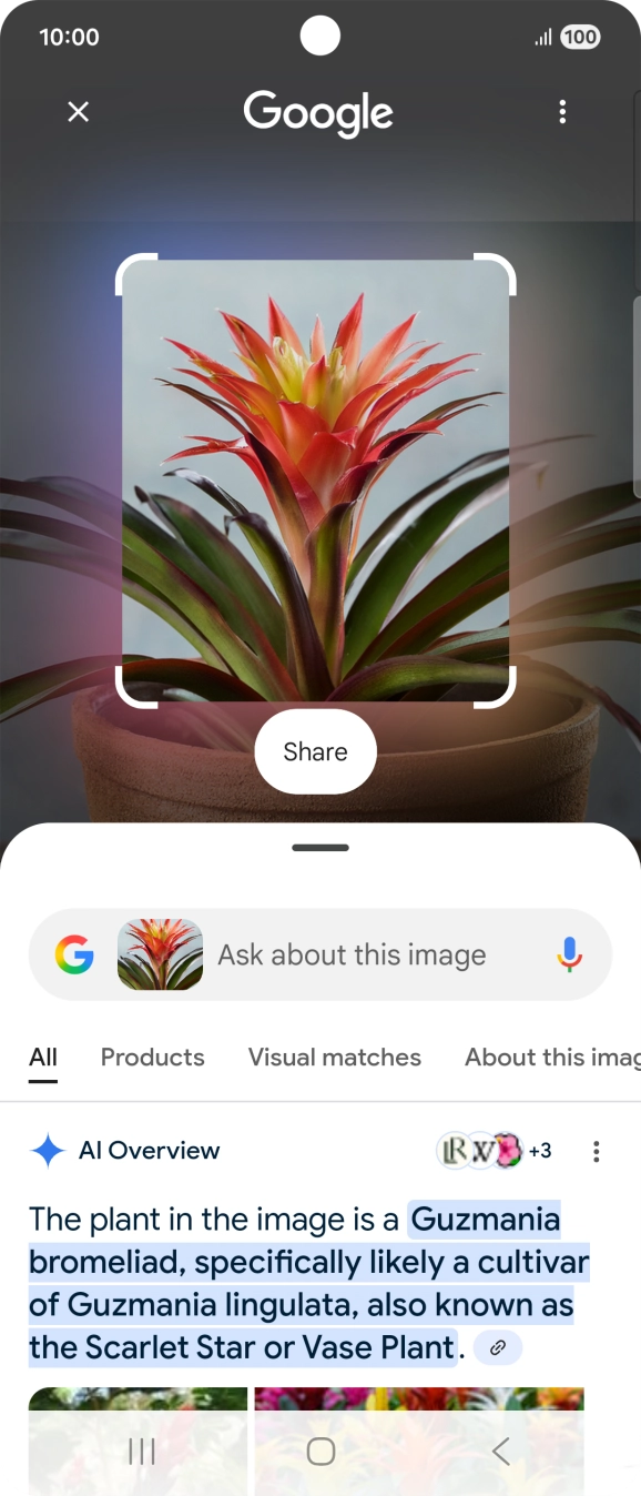 Follow the instructions on the screen to use the search results.