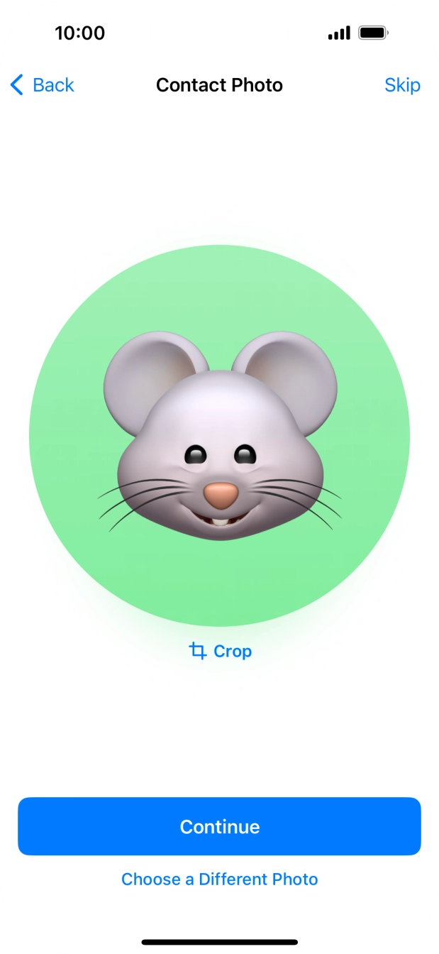 Follow the instructions on the screen to customise the selected picture and press Continue.