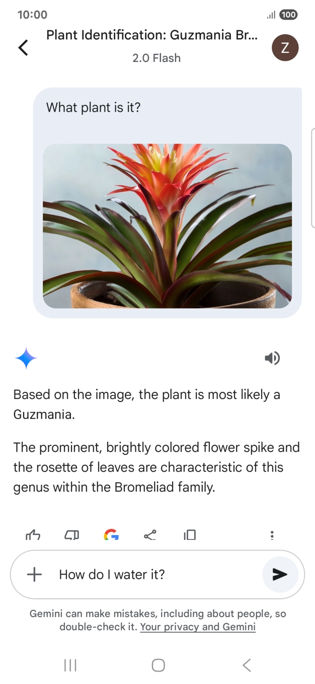 Follow the instructions on the screen to type or speak more questions to continue the conversation.