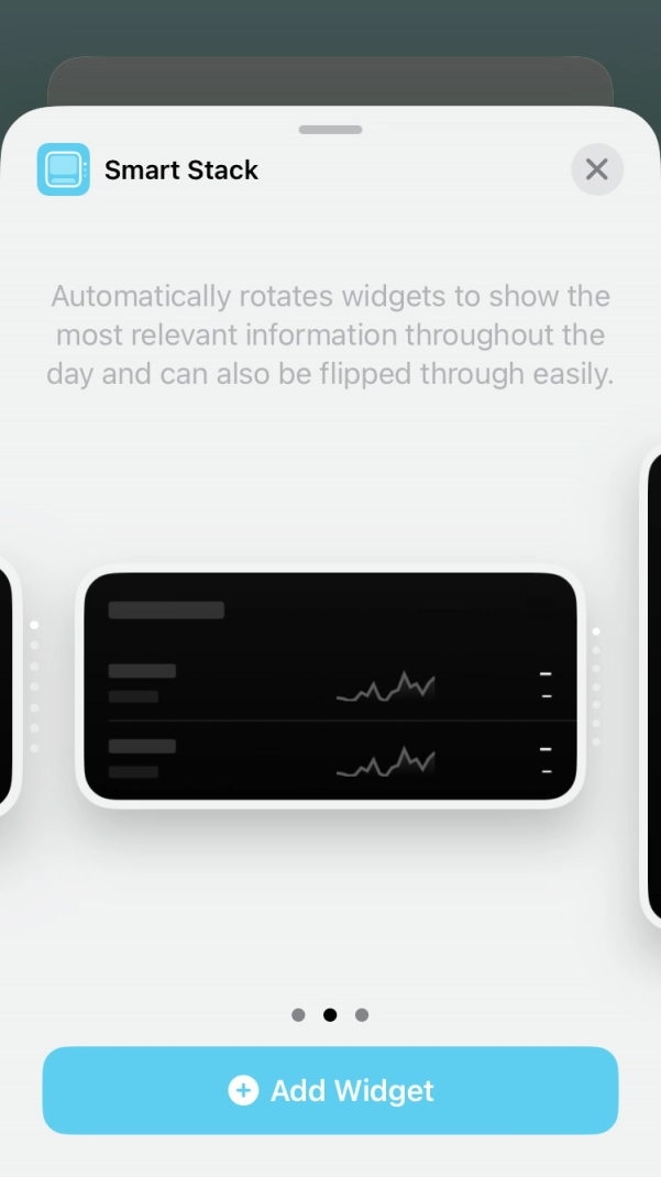 Slide your finger right or left on the screen to select the required widget size. Slide your finger right or left on the screen to select the required widget size.