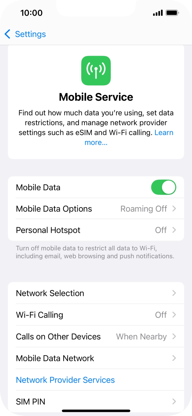 Press Mobile Data Options.