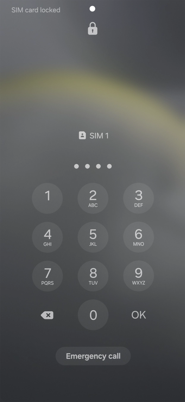 Key in your SIM PIN and press OK. The default SIM PIN is 0000.