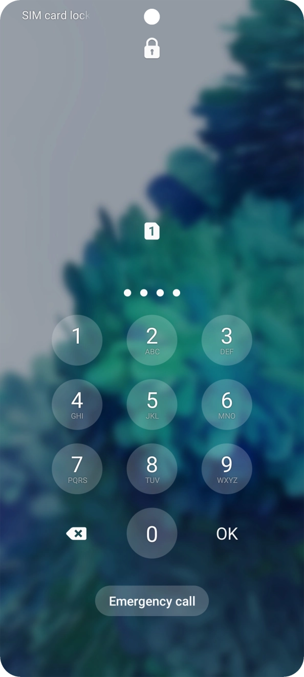 Key in your SIM PIN and press OK. The default SIM PIN is 0000.