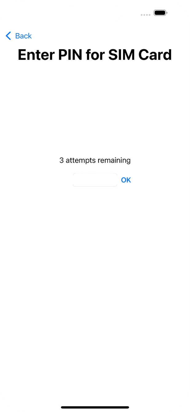 Key in your SIM PIN and press OK. The default SIM PIN is 0000.