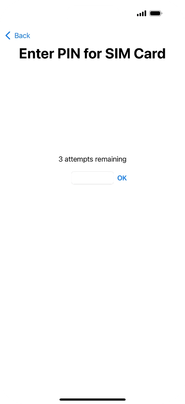 If your SIM is locked, key in your SIM PIN and press OK. The default SIM PIN is 0000.