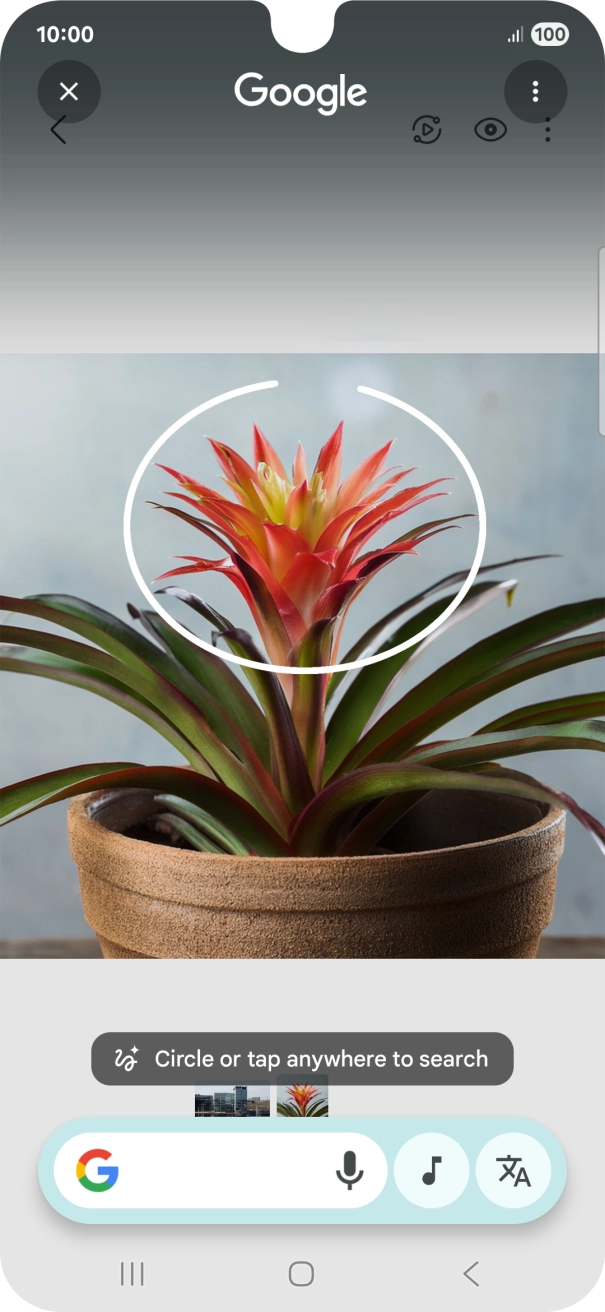 Draw a circle around the required object on the picture and wait for the search results.