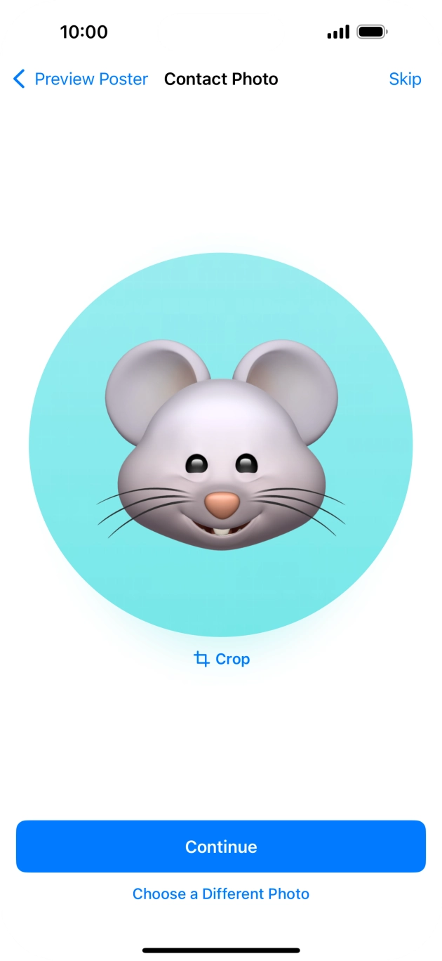 Follow the instructions on the screen to customise the selected picture and press Continue.