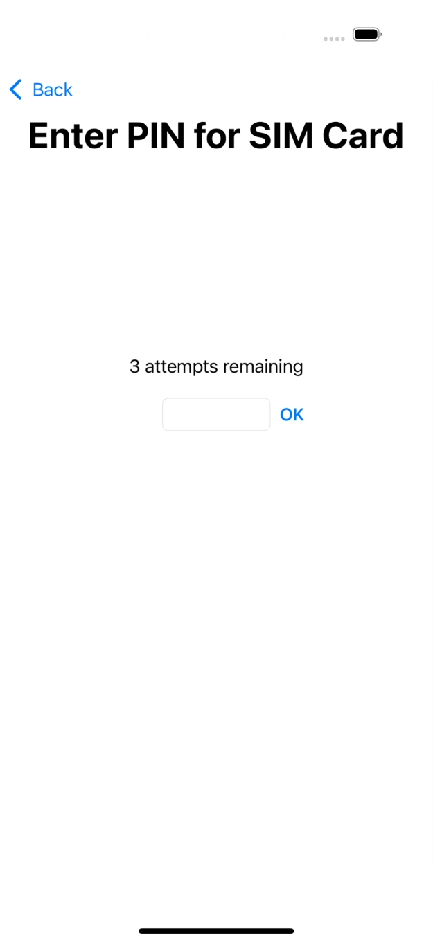 If your SIM is locked, key in your SIM PIN and press OK. The default SIM PIN is 0000.