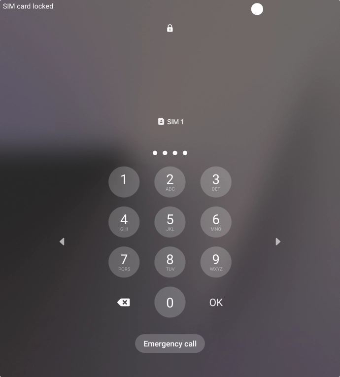 If you're asked to key in your SIM PIN, do so and press OK. The default SIM PIN is 0000.
