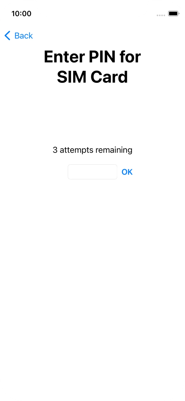 Key in your SIM PIN and press OK. The default SIM PIN is 0000.