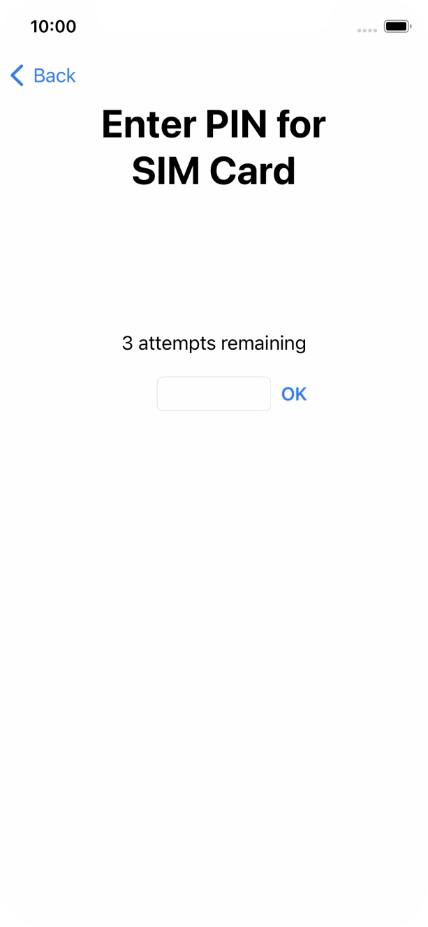 Key in your SIM PIN and press OK. The default SIM PIN is 0000.