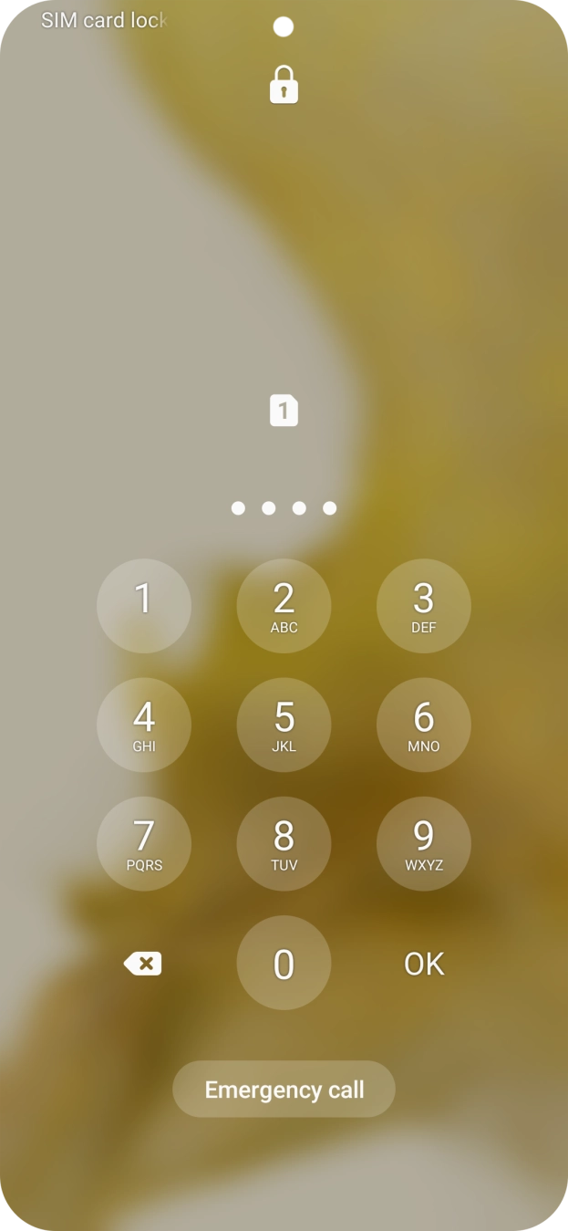 If you're asked to key in your SIM PIN, do so and press OK. The default SIM PIN is 0000.