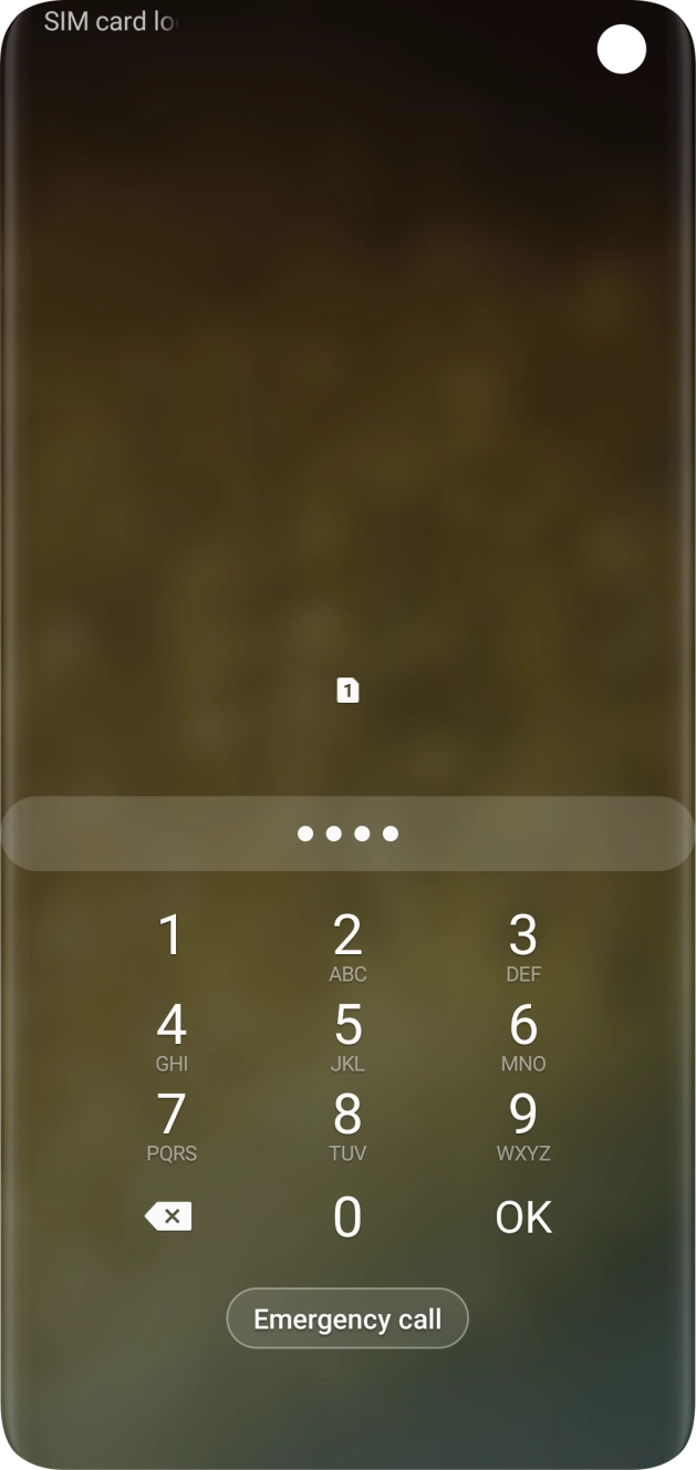 Key in your SIM PIN and press OK. The default SIM PIN is 0000.