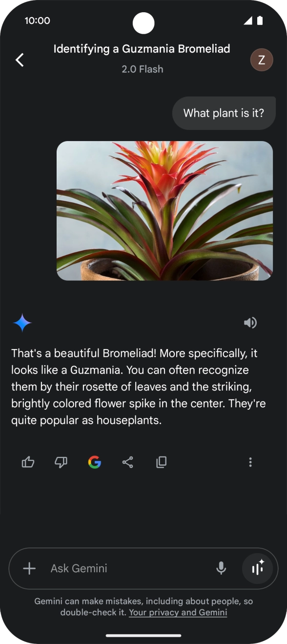 Follow the instructions on the screen to type or speak the required question. You can also attach pictures or documents and ask questions to them.