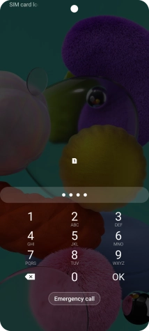 Key in your SIM PIN and press OK. The default SIM PIN is 0000.
