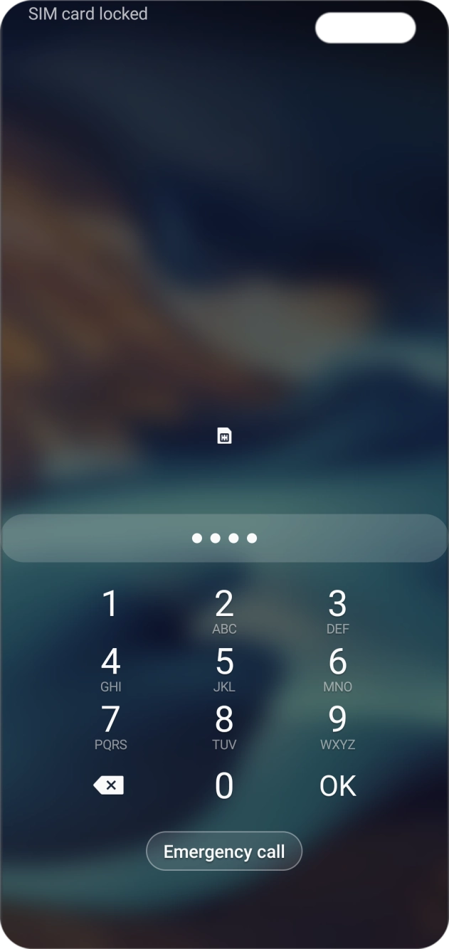 Key in your SIM PIN and press OK. The default SIM PIN is 0000.
