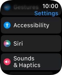Press Accessibility.