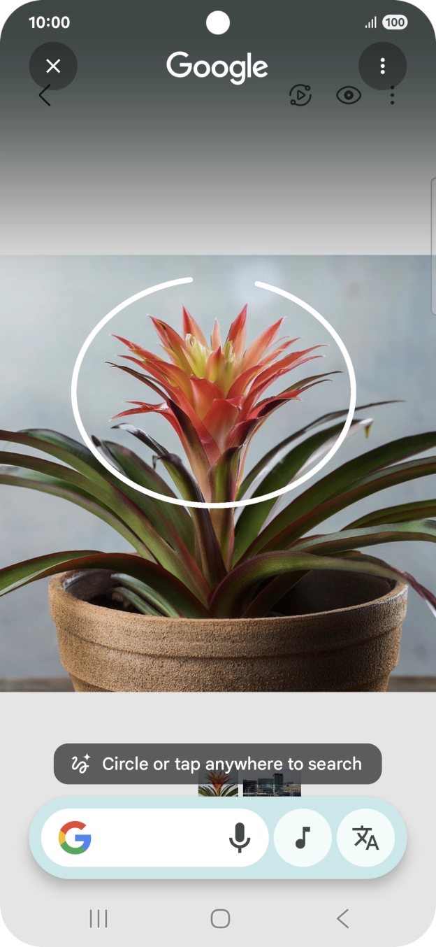 Draw a circle around the required object on the picture and wait for the search results. Draw a circle around the required object on the picture and wait for the search results.