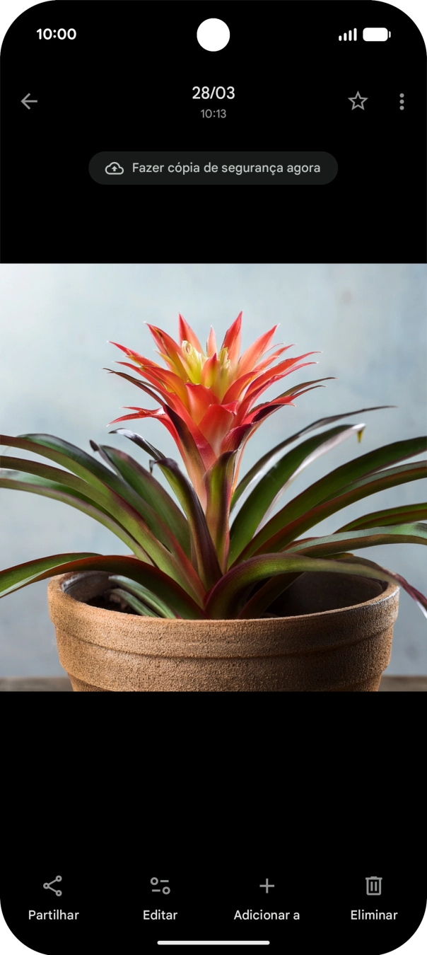 Dirija-se à imagem pretendida.