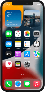 Apple iPhone 12