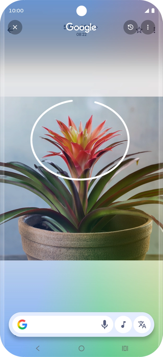 Draw a circle around the required object on the picture and wait for the search results. Draw a circle around the required object on the picture and wait for the search results.