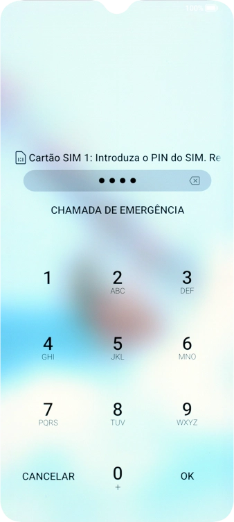 Se o cartão SIM estiver bloqueado, deve introduzir o código PIN e premir OK.
