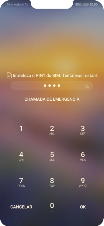 Se necessário, introduza o código PIN e prima OK.