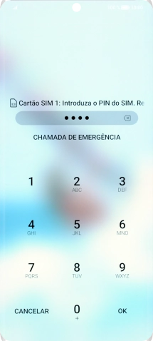 Se necessário, introduza o código PIN e prima OK.