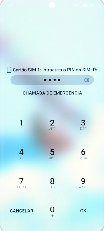 Se necessário, introduza o código PIN e prima OK.