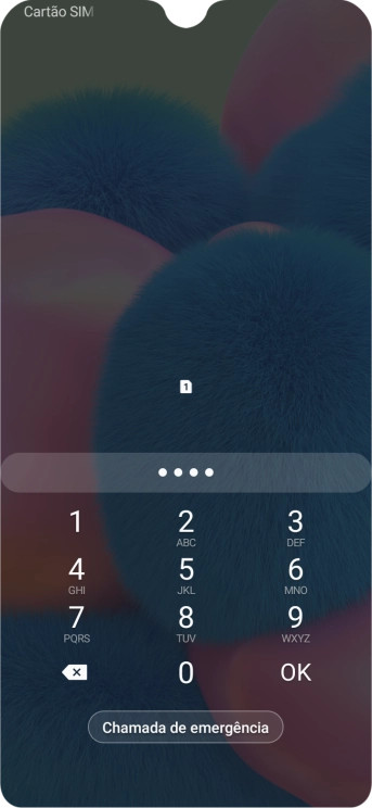 Se solicitado, deve introduzir o código PIN e premir OK.