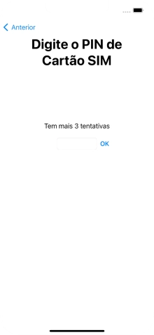 Se o cartão SIM estiver bloqueado, deve introduzir o código PIN e premir OK.