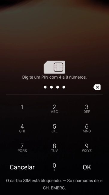 Se solicitado, deve introduzir o código PIN e premir OK.