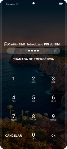 Se necessário, introduza o código PIN e prima OK.