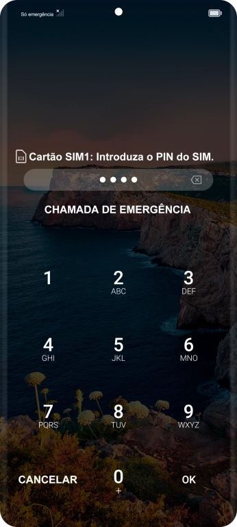 Se necessário, introduza o código PIN e prima OK.