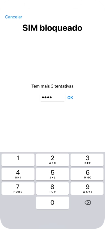 Se o cartão SIM estiver bloqueado, deve introduzir o código PIN e premir OK.